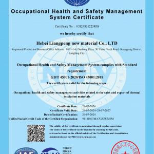 Occupational Health and Safety Management