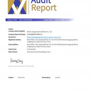 Audit Report